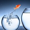 Executive Recruitment and Staffing Plans